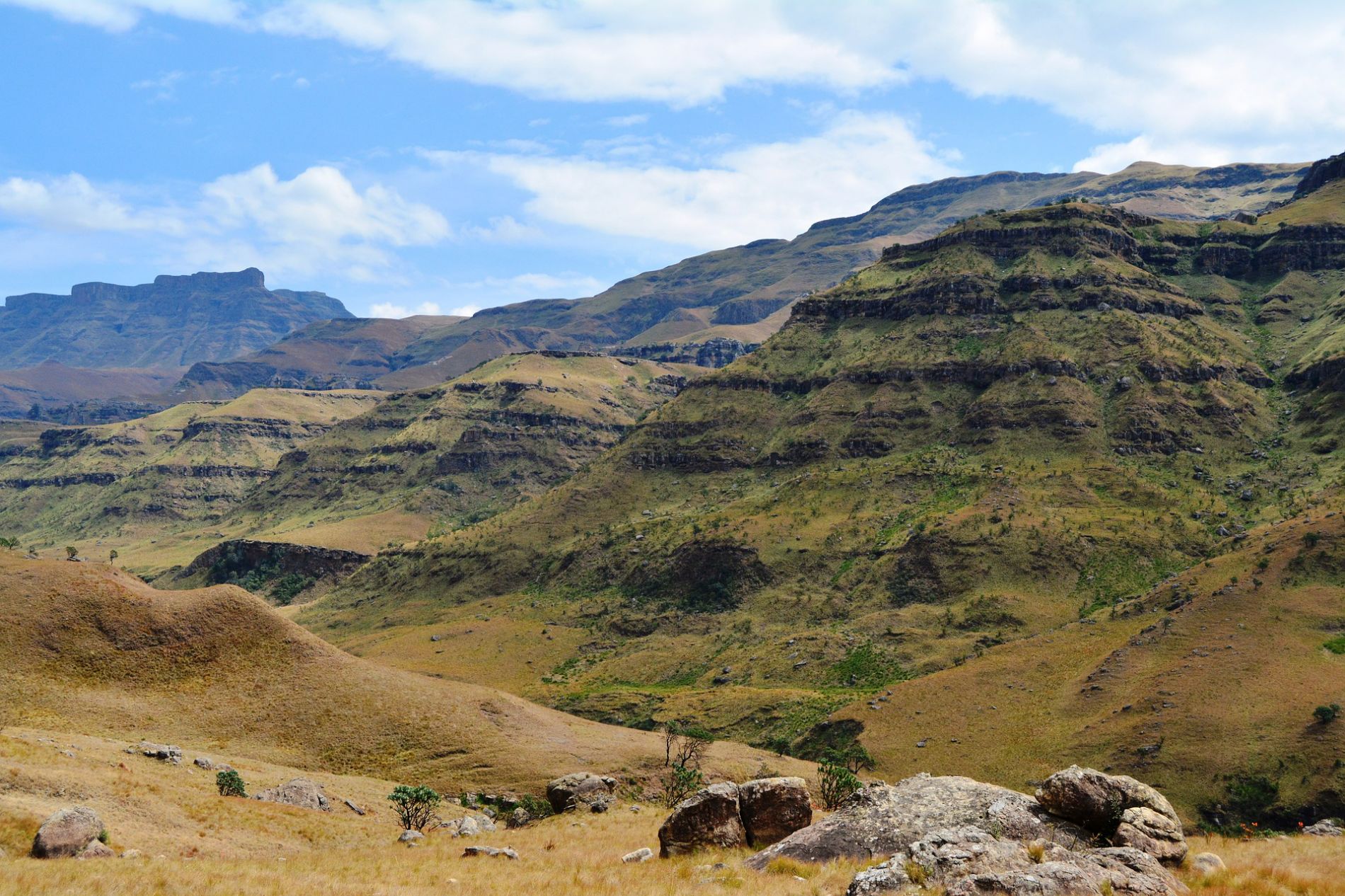 sani-pass-gab26b07d0_1920